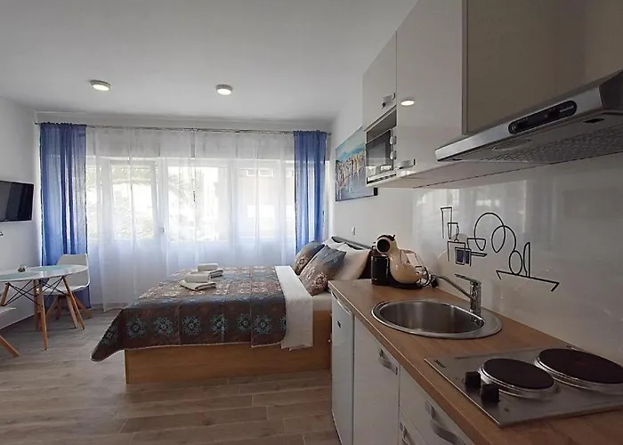 Roko & Borna * Zadar